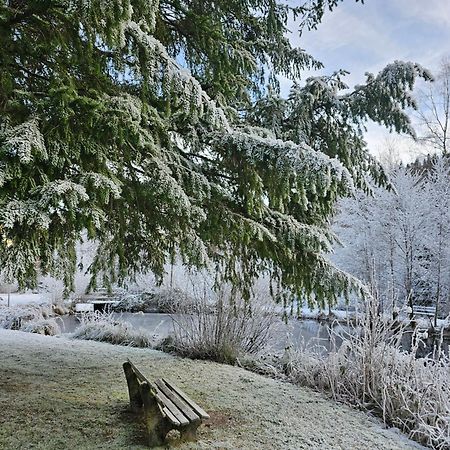 Ferienwohnung Tannenballett Im Schwarzwald Baiersbronn Zewnętrze zdjęcie