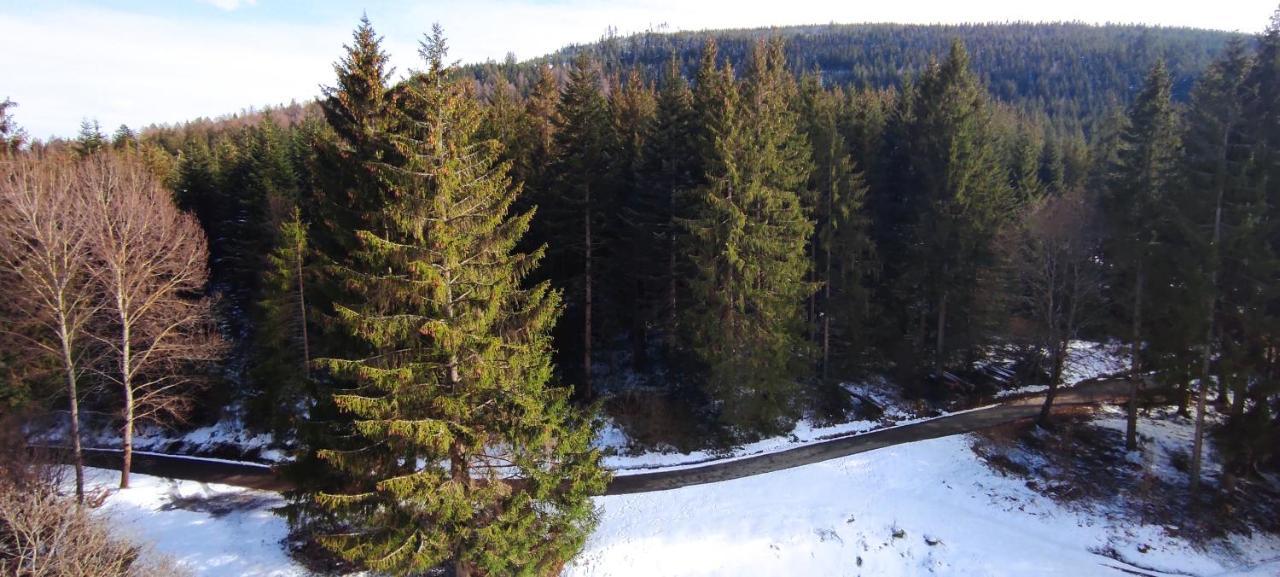 Ferienwohnung Tannenballett Im Schwarzwald Baiersbronn Zewnętrze zdjęcie