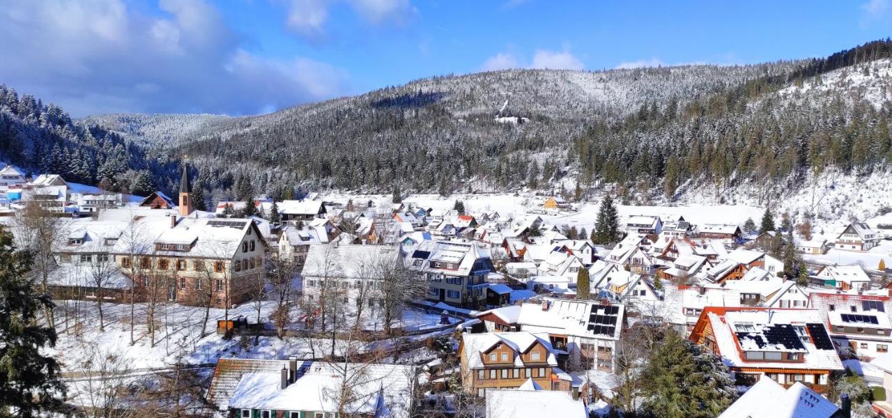 Ferienwohnung Tannenballett Im Schwarzwald Baiersbronn Zewnętrze zdjęcie