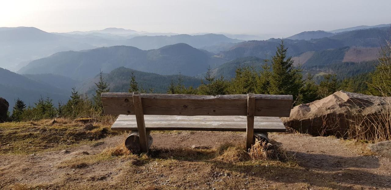 Ferienwohnung Tannenballett Im Schwarzwald Baiersbronn Zewnętrze zdjęcie