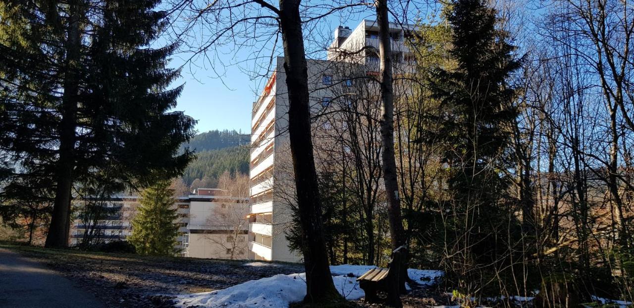 Ferienwohnung Tannenballett Im Schwarzwald Baiersbronn Zewnętrze zdjęcie