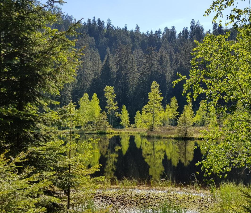 Ferienwohnung Tannenballett Im Schwarzwald Baiersbronn Zewnętrze zdjęcie
