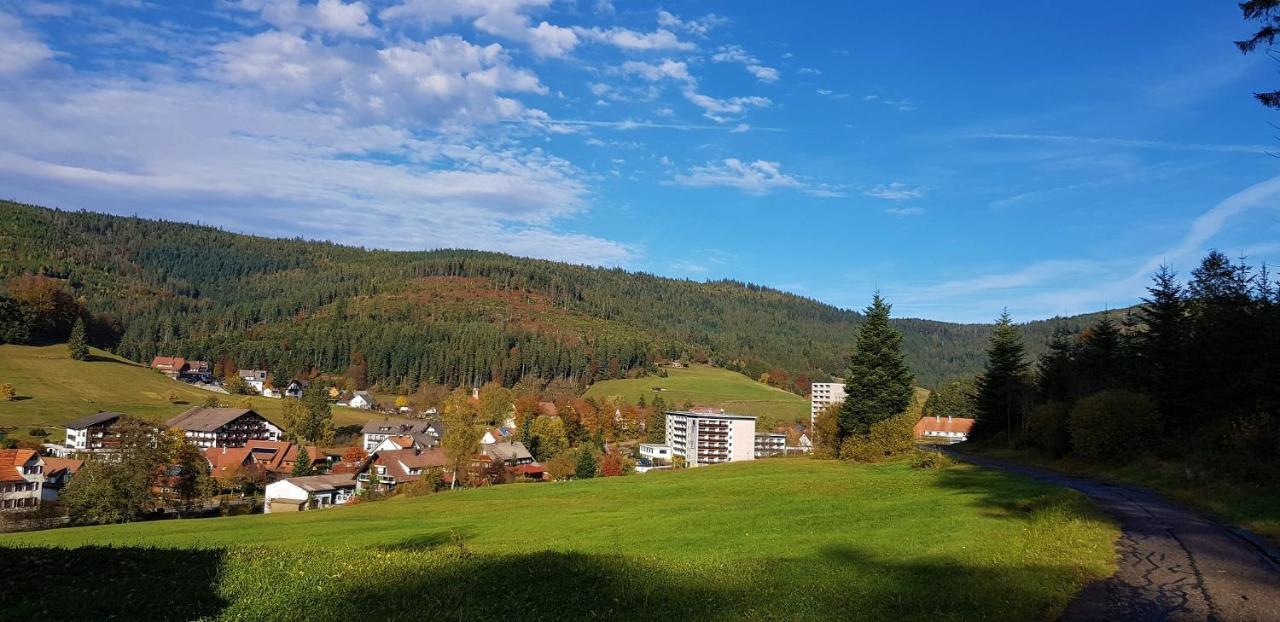 Ferienwohnung Tannenballett Im Schwarzwald Baiersbronn Zewnętrze zdjęcie