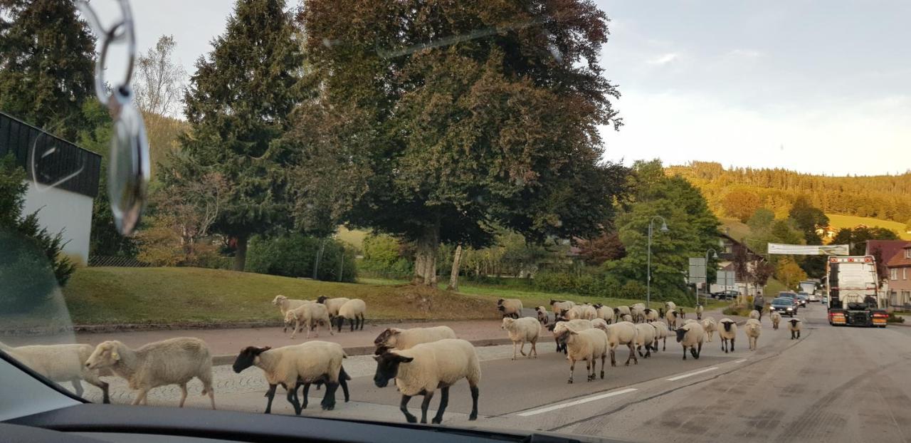 Ferienwohnung Tannenballett Im Schwarzwald Baiersbronn Zewnętrze zdjęcie