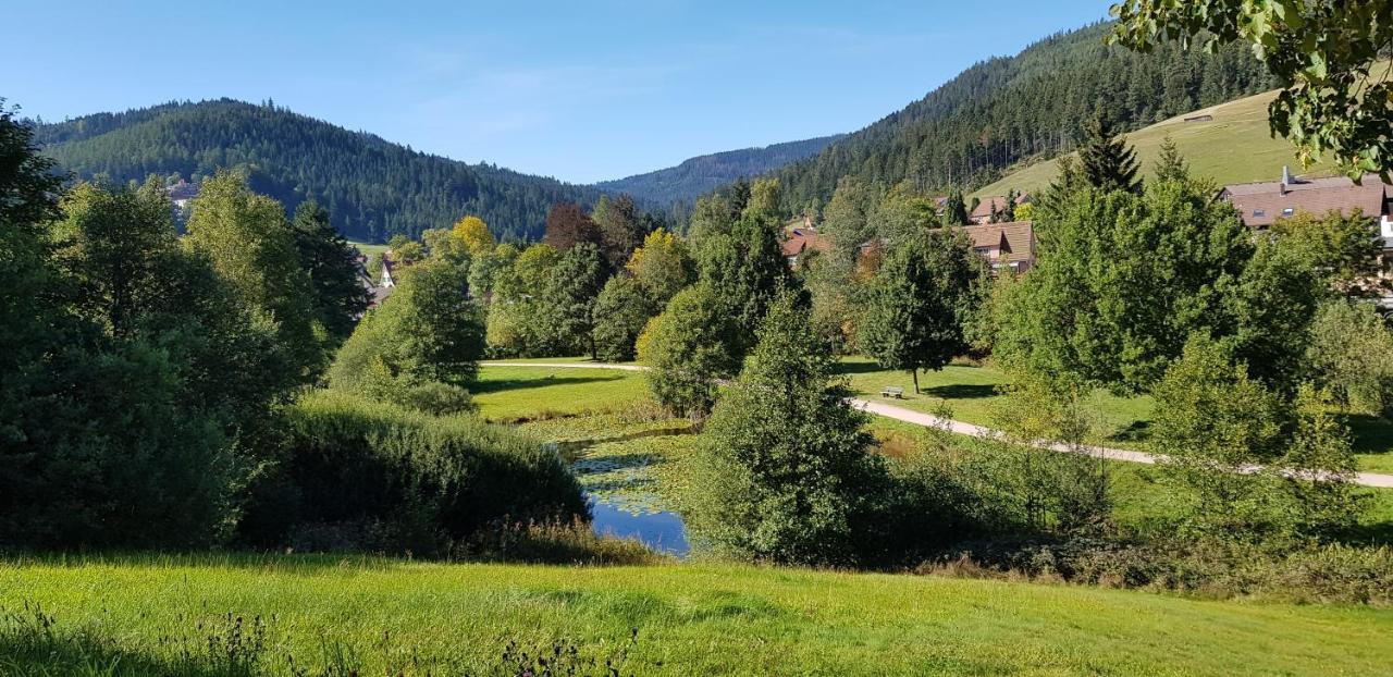 Ferienwohnung Tannenballett Im Schwarzwald Baiersbronn Zewnętrze zdjęcie