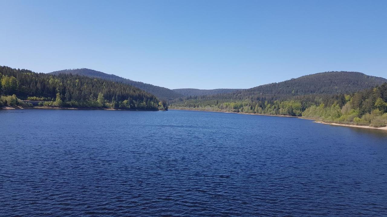 Ferienwohnung Tannenballett Im Schwarzwald Baiersbronn Zewnętrze zdjęcie