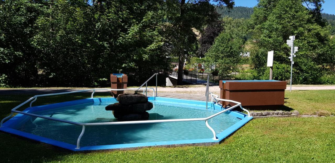 Ferienwohnung Tannenballett Im Schwarzwald Baiersbronn Zewnętrze zdjęcie