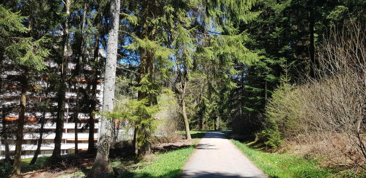 Ferienwohnung Tannenballett Im Schwarzwald Baiersbronn Zewnętrze zdjęcie