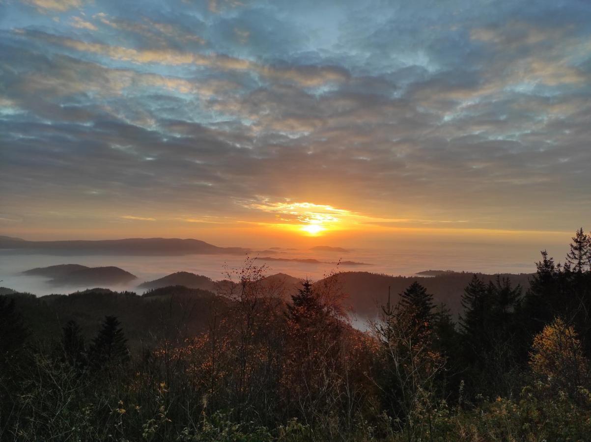 Ferienwohnung Tannenballett Im Schwarzwald Baiersbronn Zewnętrze zdjęcie