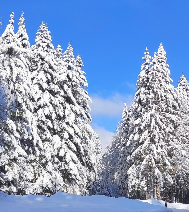 Ferienwohnung Tannenballett Im Schwarzwald Baiersbronn Zewnętrze zdjęcie