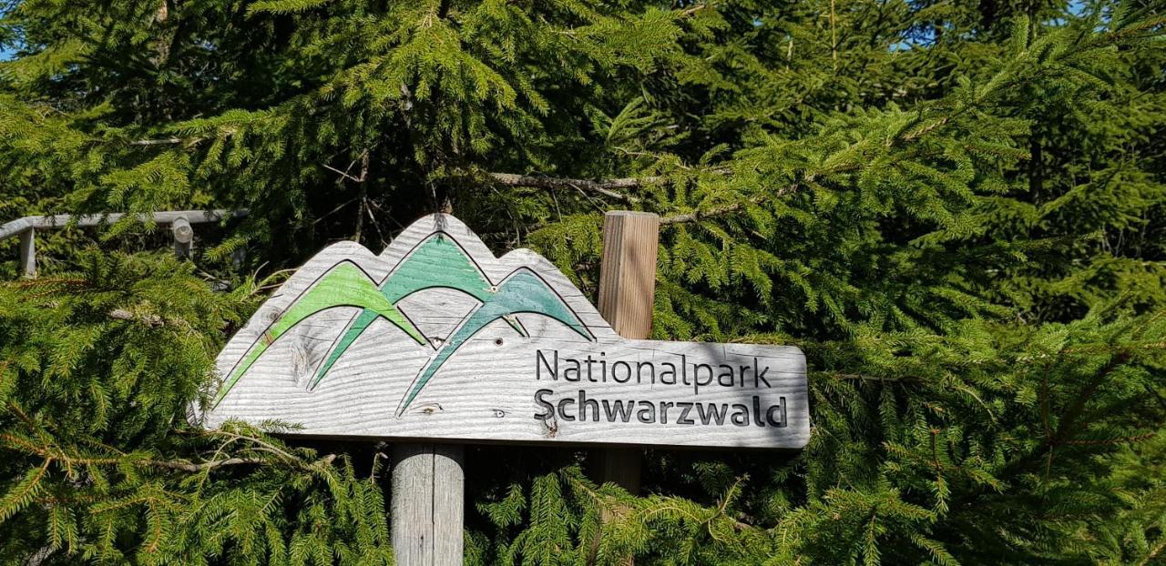 Ferienwohnung Tannenballett Im Schwarzwald Baiersbronn Zewnętrze zdjęcie