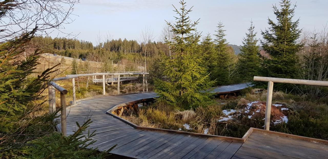 Ferienwohnung Tannenballett Im Schwarzwald Baiersbronn Zewnętrze zdjęcie