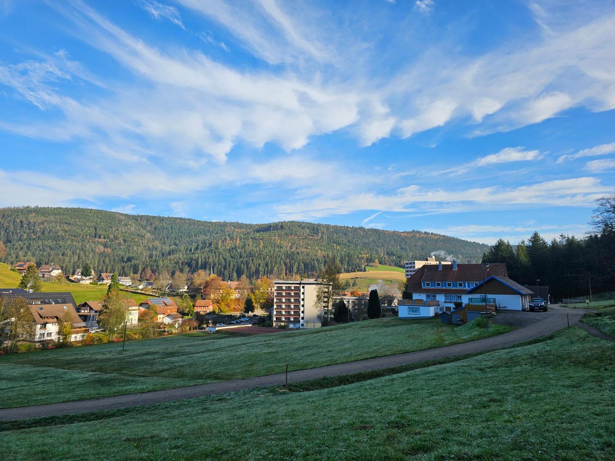 Ferienwohnung Tannenballett Im Schwarzwald Baiersbronn Zewnętrze zdjęcie