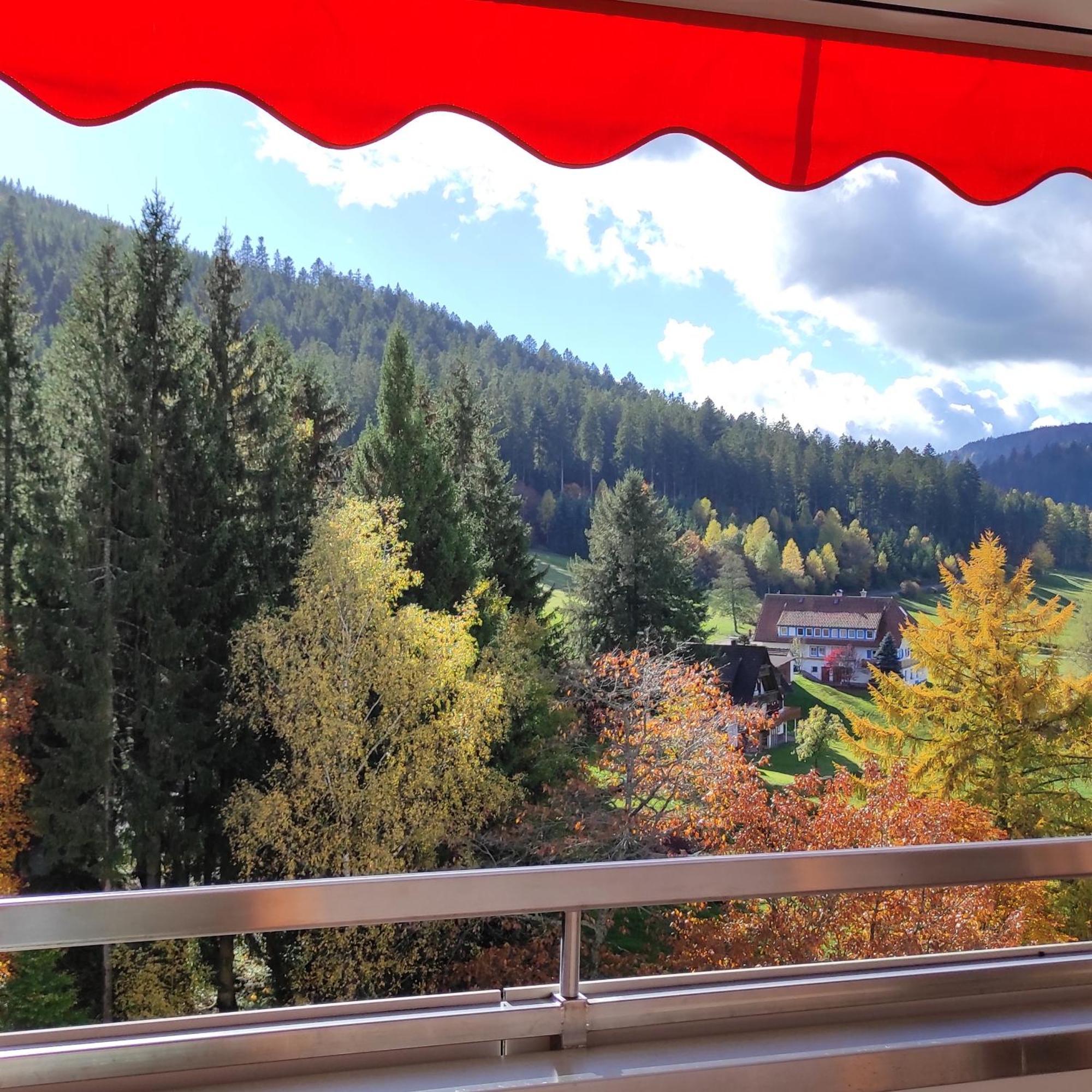 Ferienwohnung Tannenballett Im Schwarzwald Baiersbronn Zewnętrze zdjęcie